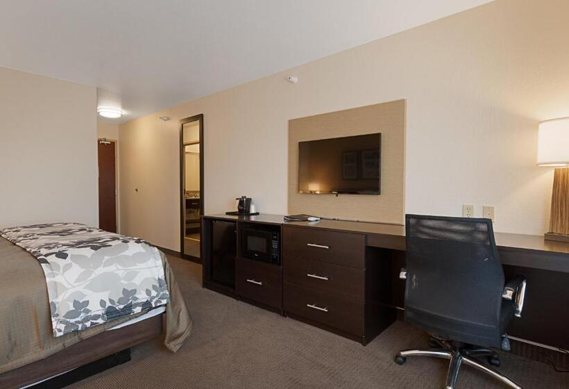 适合残疾人士使用的套间, Sleep Inn & Suites Carlsbad Caverns Area