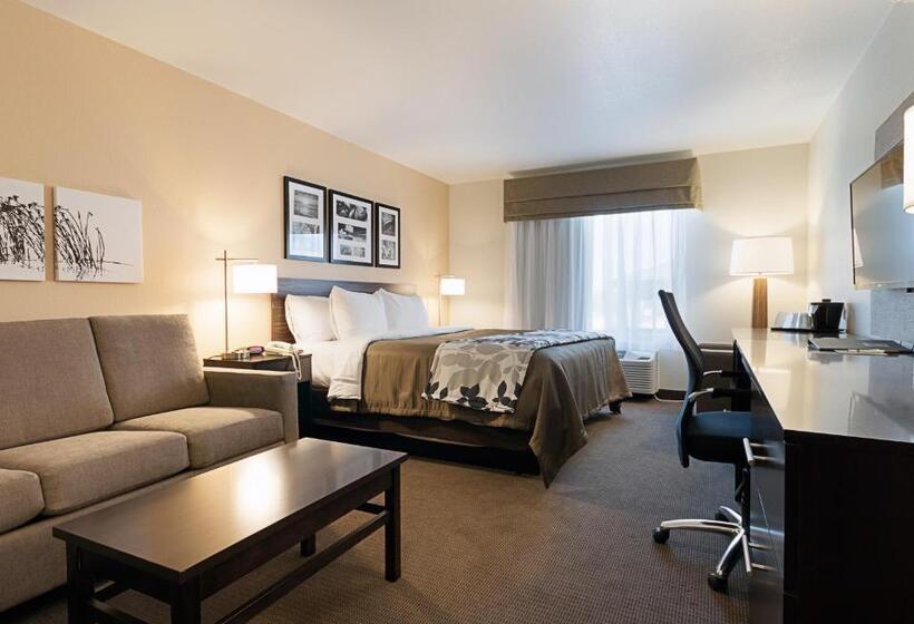 Люкс Адаптированный для Инвалидов, Sleep Inn & Suites Carlsbad Caverns Area
