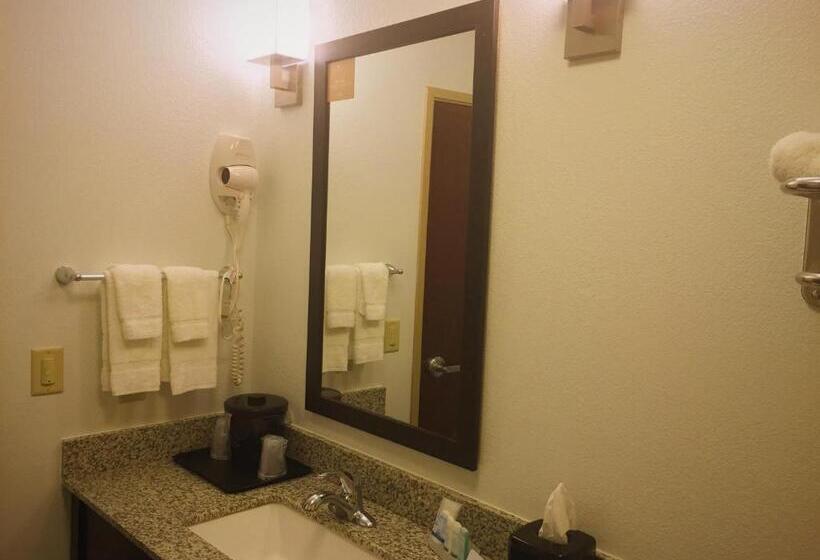 Номер Стандарт Кровать Кинг Адаптированный для Инвалидов, Sleep Inn & Suites Carlsbad Caverns Area