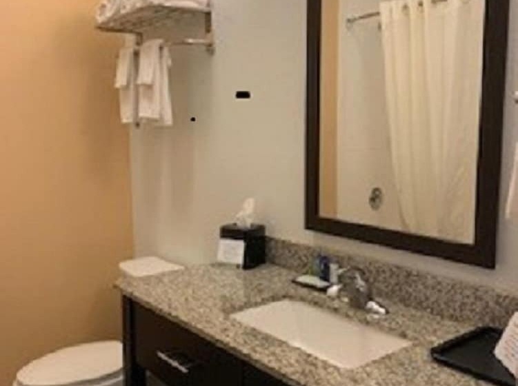 Номер Стандарт 2 Двуспальные Кровати, Sleep Inn & Suites Carlsbad Caverns Area