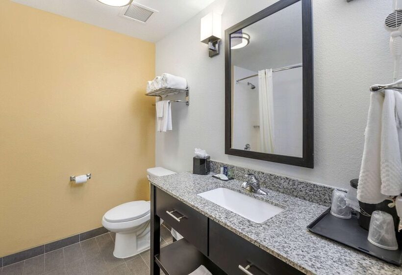 带2个双人床的标准工作室, Sleep Inn & Suites Carlsbad Caverns Area