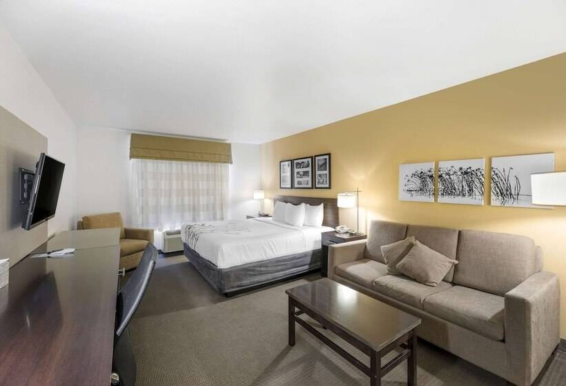 适合残疾人士使用的套间, Sleep Inn & Suites Carlsbad Caverns Area