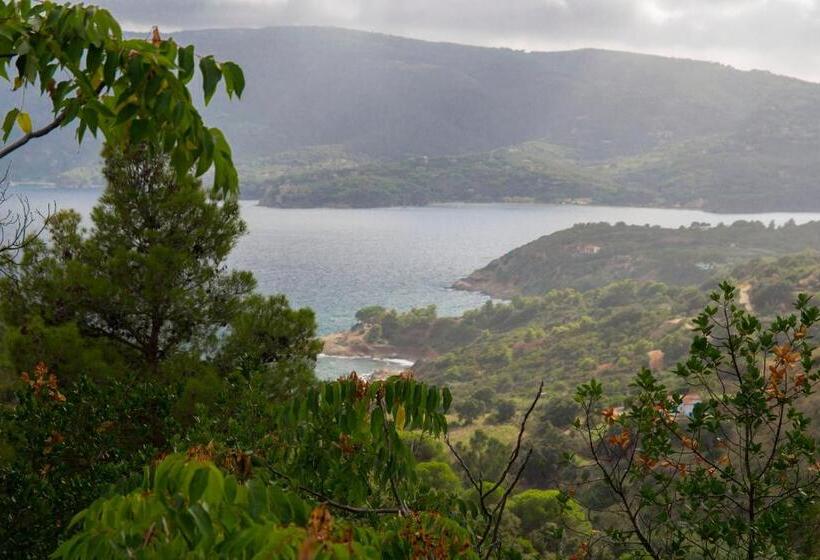 Апартаменты 1 Спальня, Allegroitalia Elba Capo D Arco