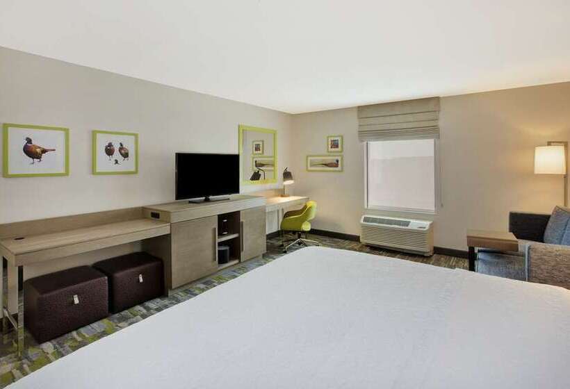 带大床的标准间, Hampton Inn Springfieldsoutheast