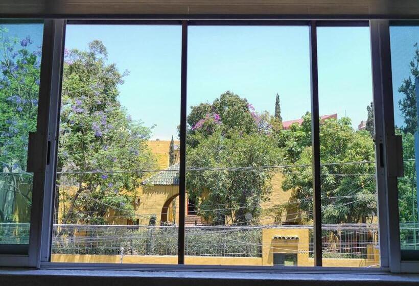 Chambre Familiale, Hostel Hospedarte Chapultepec