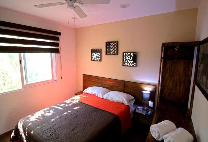 Chambre Deluxe, Hostel Hospedarte Chapultepec