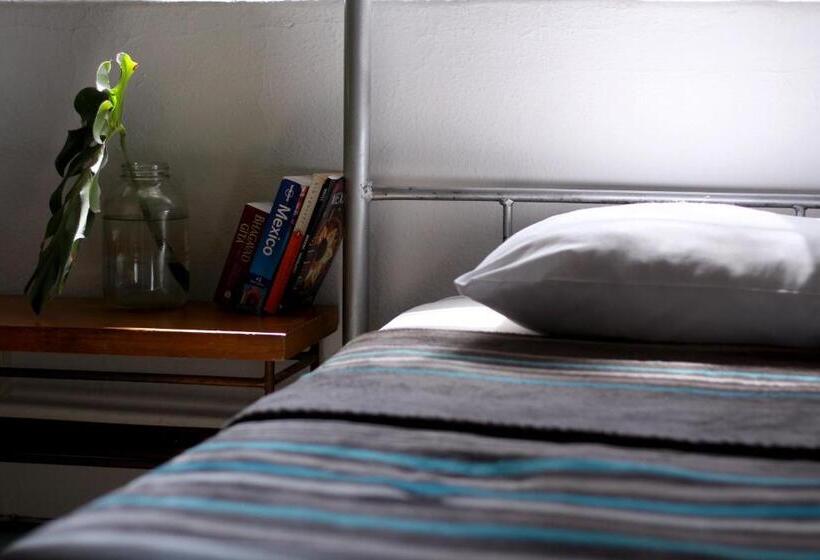 Chambre Quadruple Standard Salle de Bains Commune, Hostel Hospedarte Chapultepec