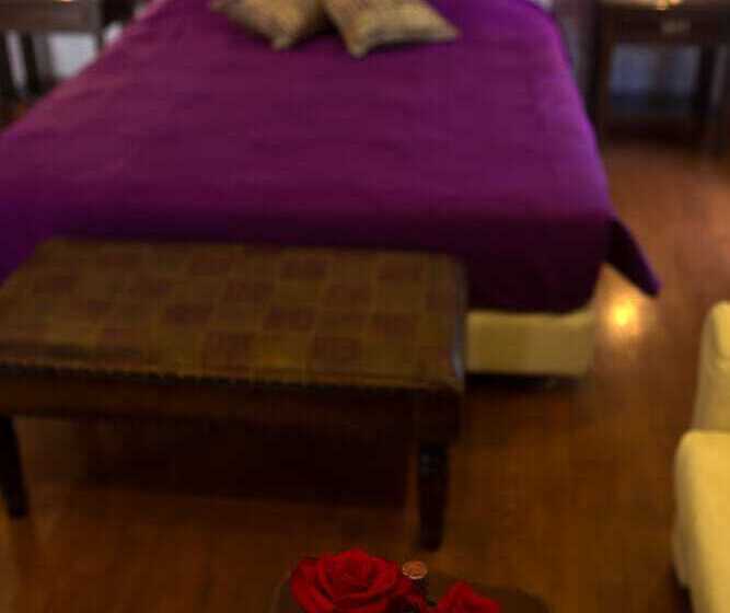 小型套房, Andromeda Suites