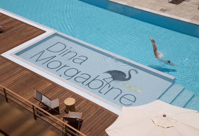 غرفة قياسية, Dina Morgabine Saint Gilles