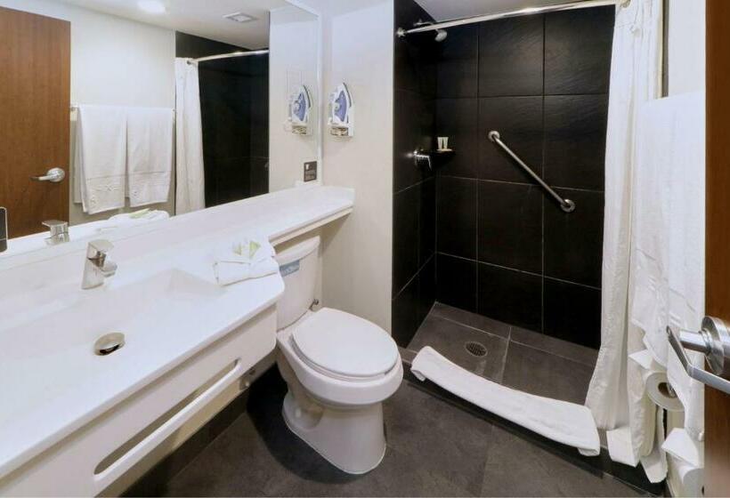 带2个双人床的标准工作室, City Express Plus By Marriott Monterrey Nuevo Sur