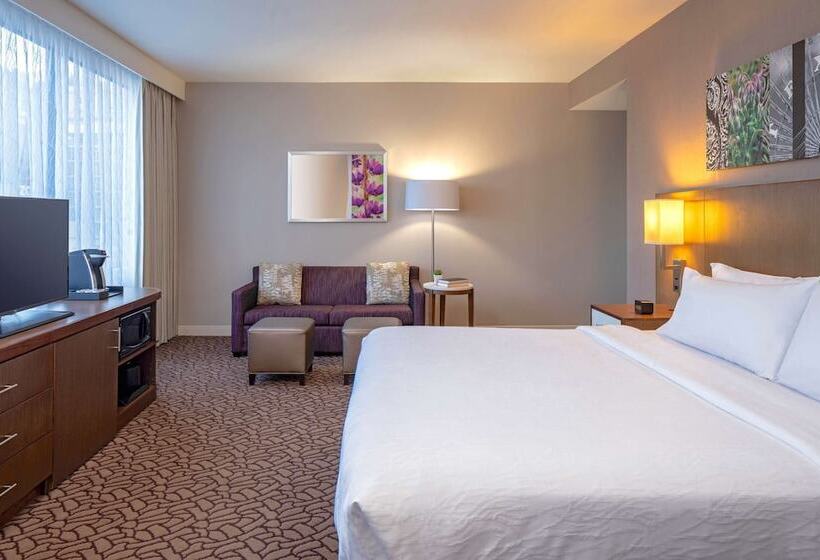 סוויטת ג'וניור, Hilton Garden Inn Downtown Dallas