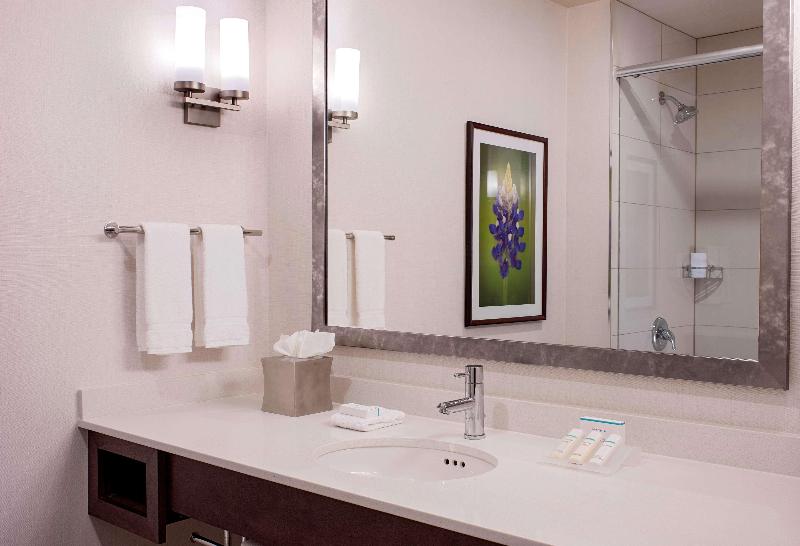 חדר סטנדרט עם מיטת קינג, Hilton Garden Inn Downtown Dallas