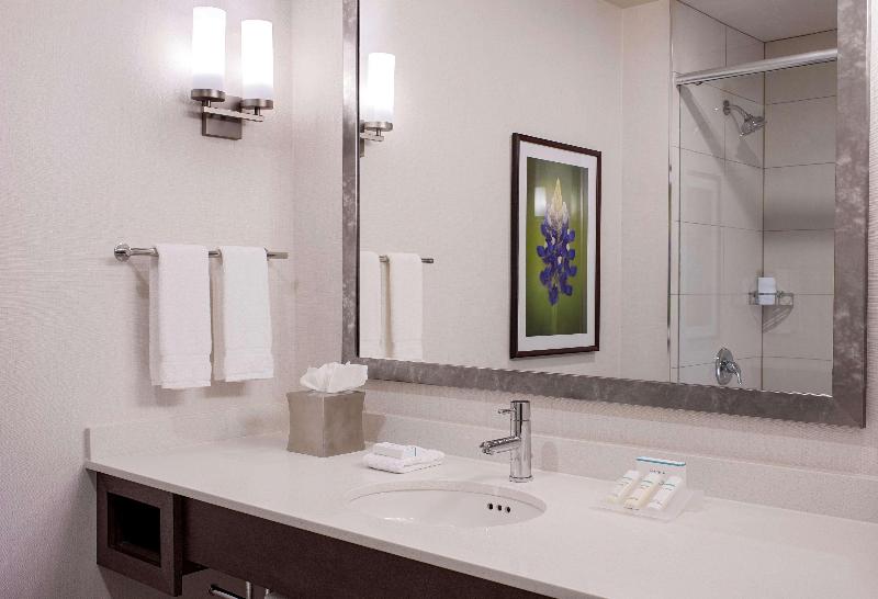 חדר דחוקס עם מיטת קינג, Hilton Garden Inn Downtown Dallas