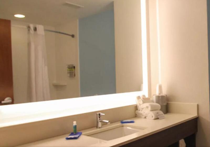חדר סטנדרט, Hilton Garden Inn Downtown Dallas