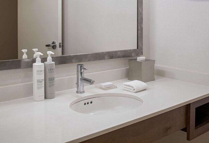 סוויטת ג'וניור, Hilton Garden Inn Downtown Dallas