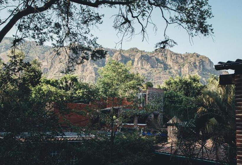 اتاق استاندارد سه نفره, La Posada Del Valle