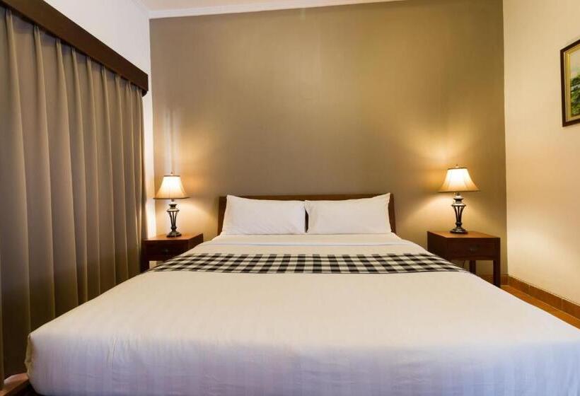 Executive Suite, Vidi Boutique