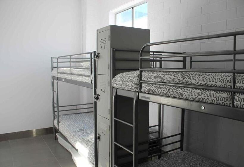 공동 객실, Quokka Backpackers Hostel Perth   Note   Valid Passport Required To Check In