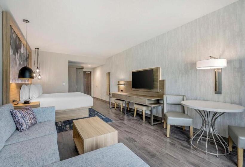 سوئیت با تخت بزرگ, Best Western Plus Winter Haven Inn & Suites