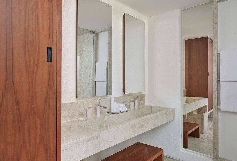 プール付きジュニアスイート, Viceroy Los Cabos