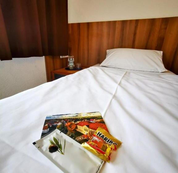 Номер Стандарт, Spreewaldschule @swarmhotels