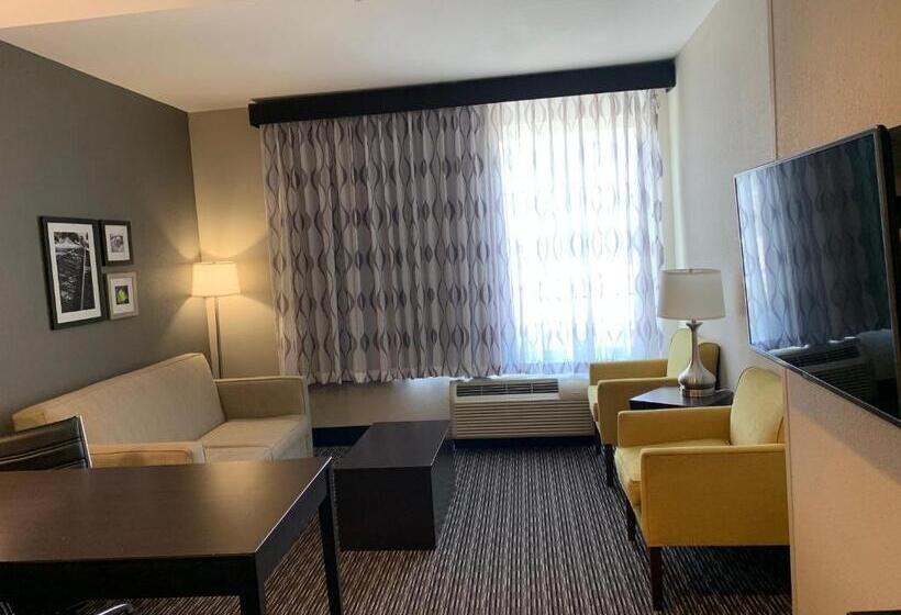 Номер Executive Кровать Кинг, La Quinta By Wyndham Hattiesburg   I 59