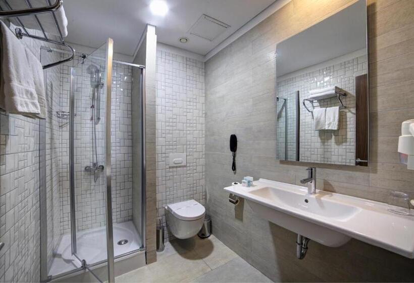 スタンダードルーム, Plus Hotel Bostanci Atasehir