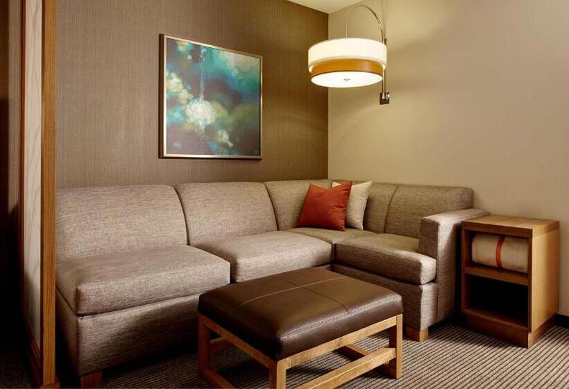 キングサイズベッドのスイートルーム, Hyatt Place New York Yonkers