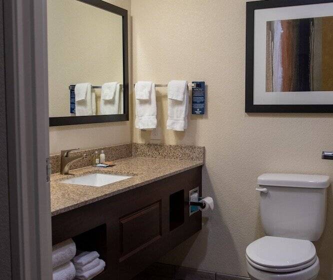 Люкс, Cobblestone Inn & Suites  Springfield
