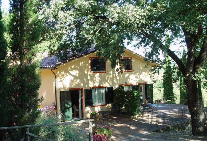 Студия Стандарт, Agriturismo La Sovana