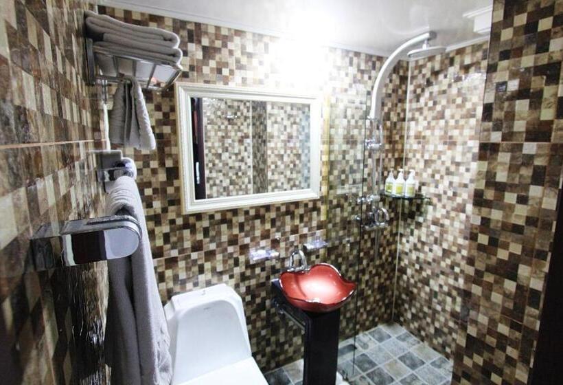 اتاق لوکس سه تخته, Intercity Seoul