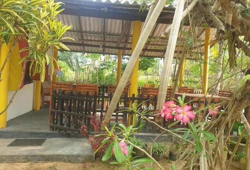 Номер Economy, Beach Lagoon Guesthouse