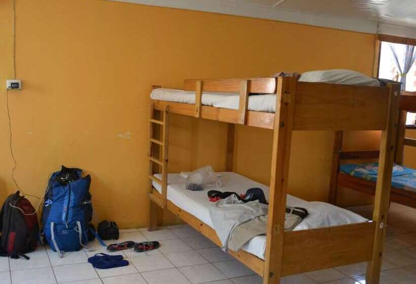 공동 객실, Ratu Kini Backpackers & Dive Resort