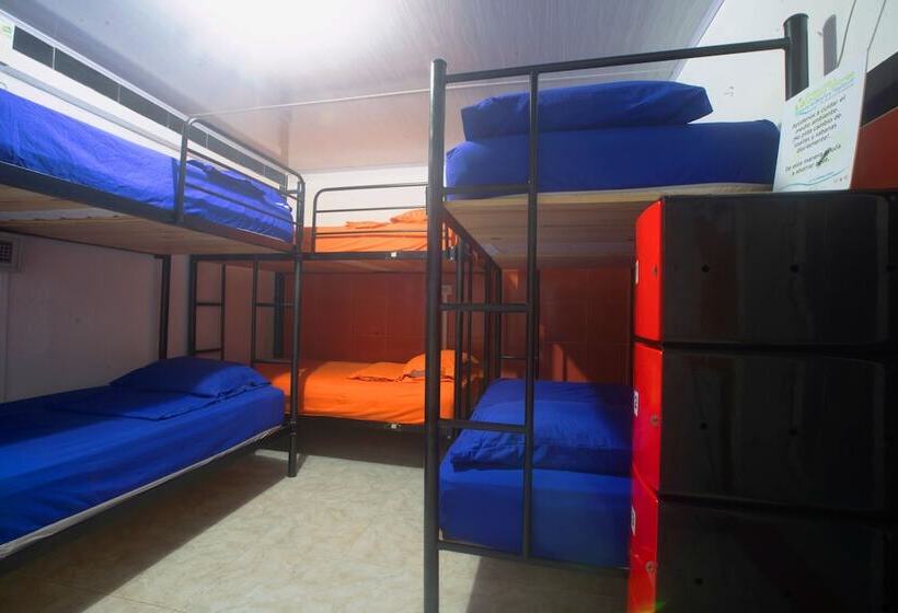 Кровать в Общей Комнате, Posada Nativa Lizard House