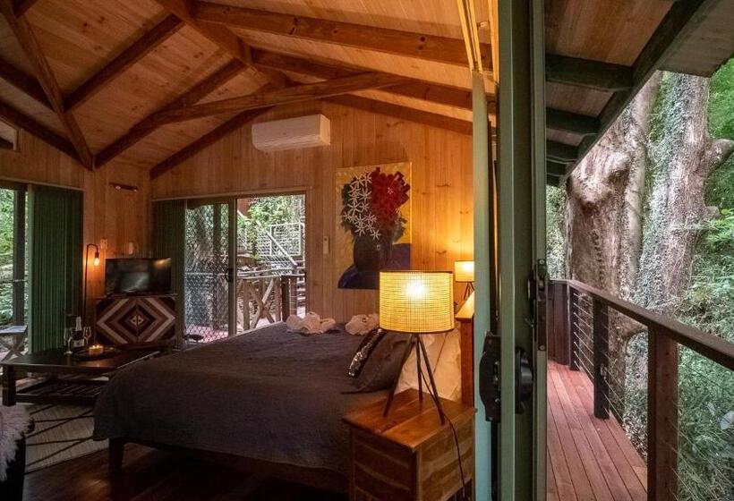 Студио Стандарт Вид на Сад, Treetops Montville