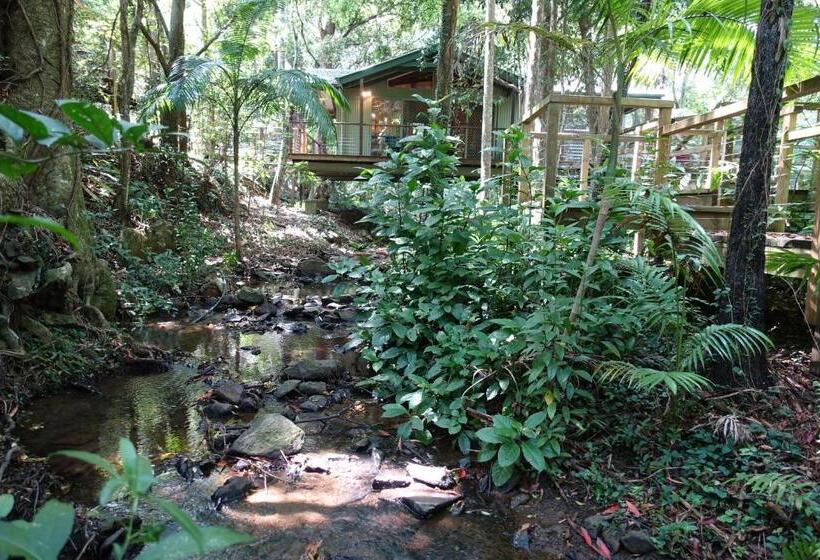 Студио Стандарт Вид на Сад, Treetops Montville