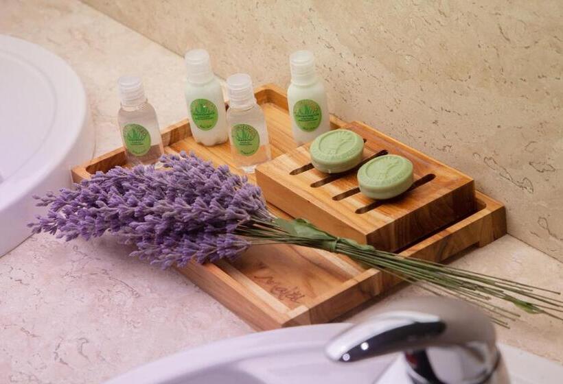 Номер Deluxe, Malai Manso Resort Yatch Convention & Spa