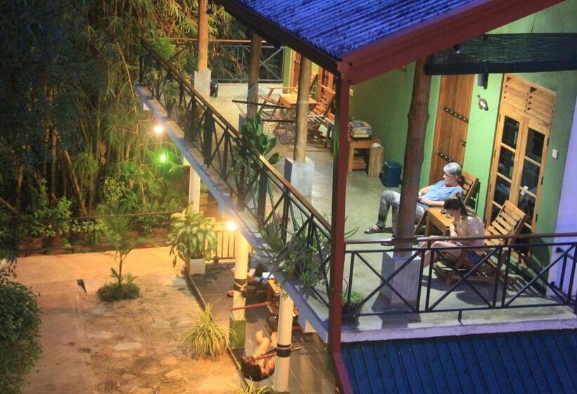 اتاق استاندارد, Nature House
