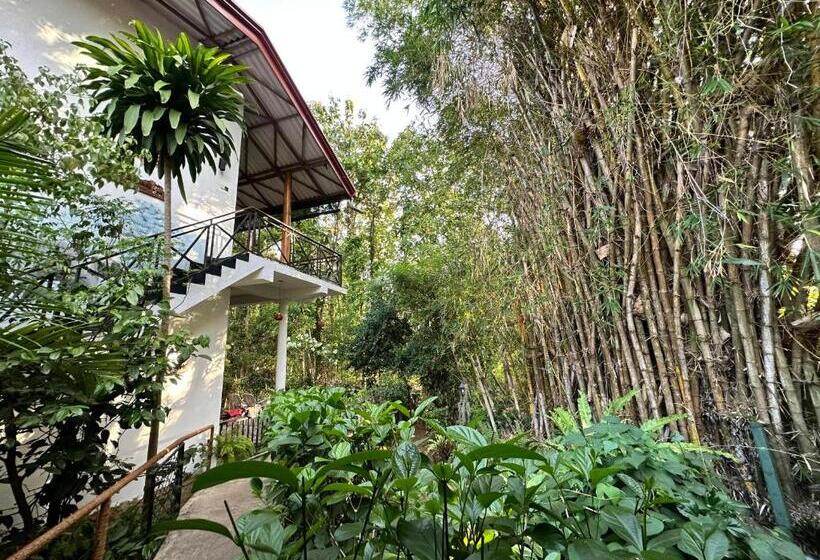اتاق سوپریور, Nature House