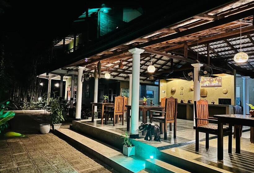 اتاق سوپریور, Nature House