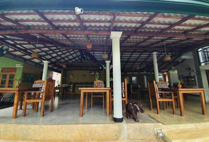 اتاق لوکس سه تخته, Nature House