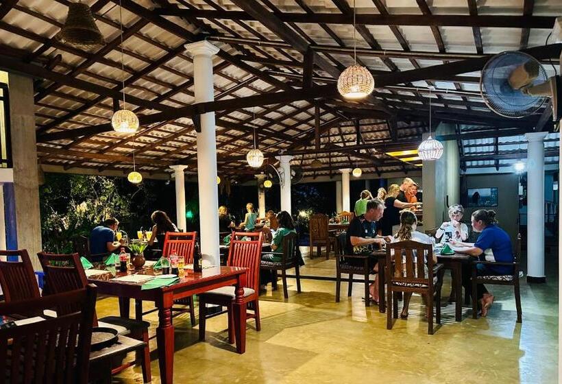 اتاق لوکس, Nature House