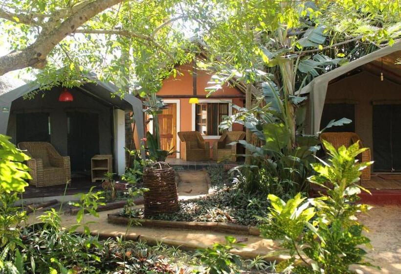 샬레, Devocean Eco Adventure Lodge