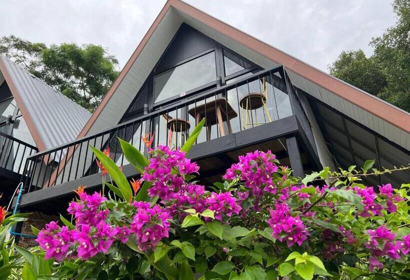 标准间带阳台, Dream Resort
