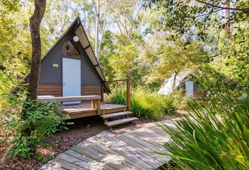 Номер Стандарт Совместная Ванная, Bungalow Bay Koala Village   Hostel