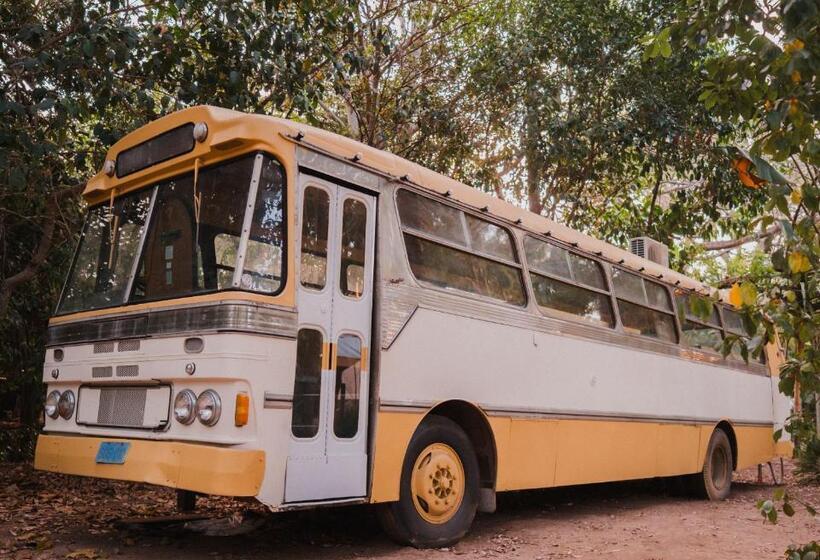 מיטה בחדר משותף, Bungalow Bay Koala Village   Hostel