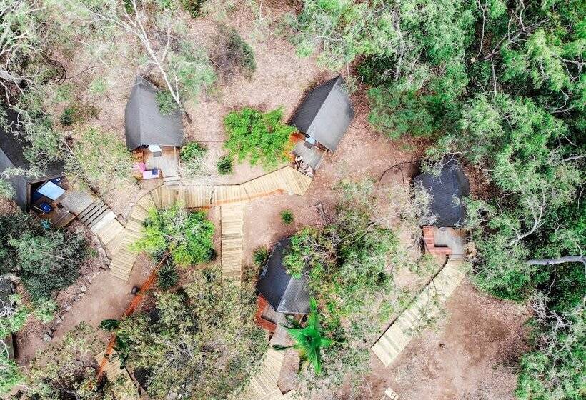 Номер Стандарт, Bungalow Bay Koala Village   Hostel