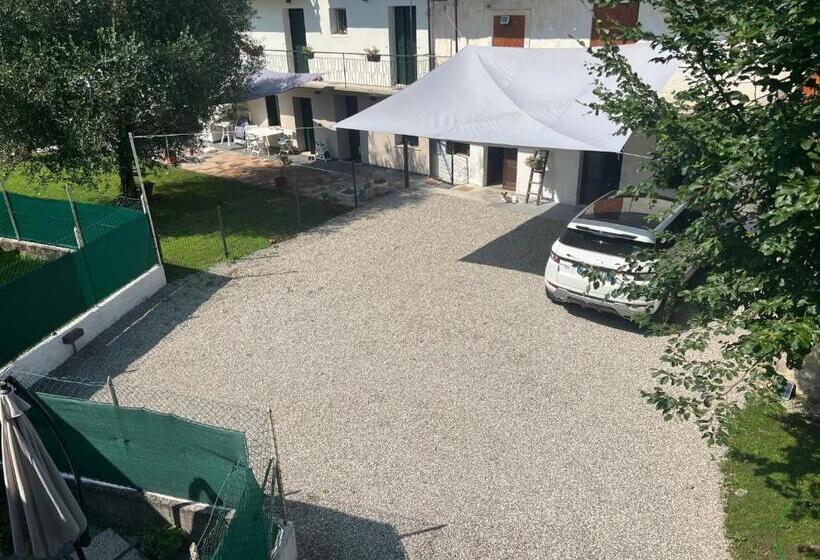 Номер Стандарт, La Corte Di Bacco