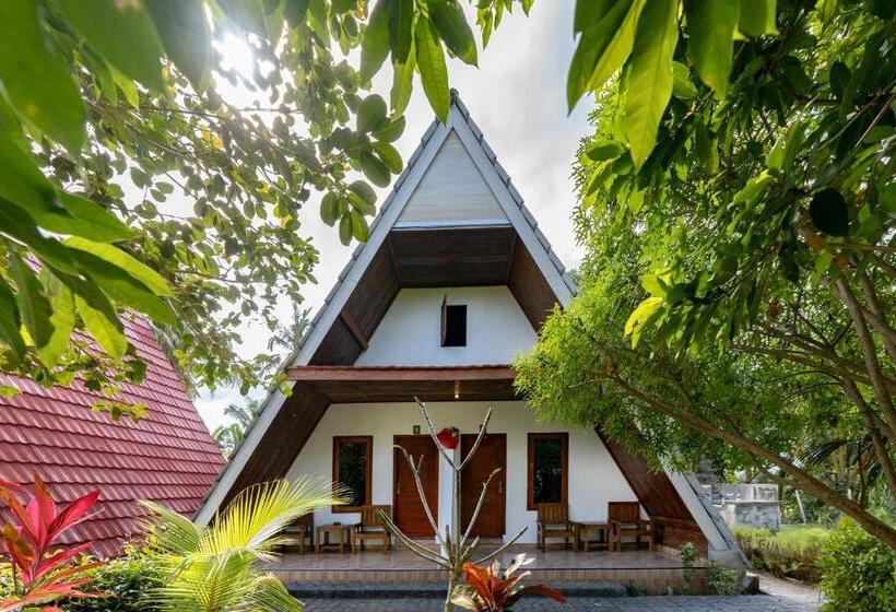 标准间, Suan Bubble & Triangle Diamond Beach