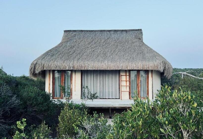 스탠다드 룸 측면 바다 전망, Zenguelemo Lodge